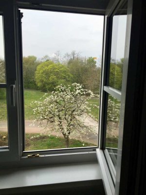 Möblierte 2 Zimmer-Küche-Bad-Balkon (ZKBB) direkt am Park in Grünwinkel