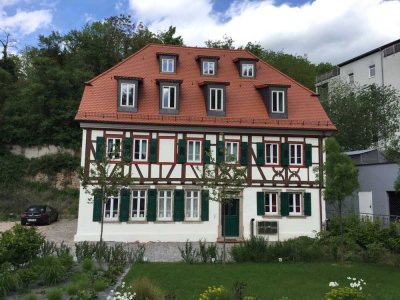 Traumhafte neuwertige 2-Zimmer Altstadtwohnung mit Terrasse