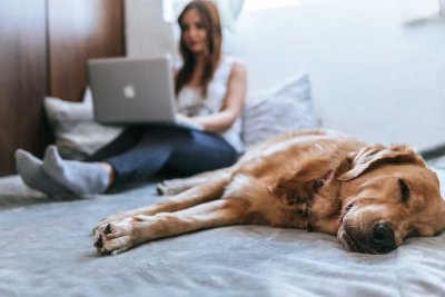 Homeoffice? Kein Problem! Ausreichend Platz für Arbeit & Leben in einem Haus von Bien-Zenker!