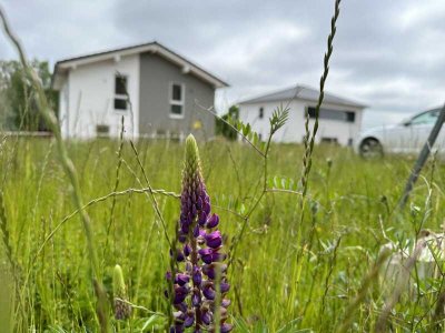 Modernes Familienhaus mit 162m² in idyllischem Wohngebiet!