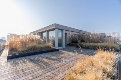 Traumhaft wohnen mit Dachterrasse und Neckarblick