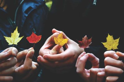 Mit guten Freunden Tür an Tür wohnen - Zweifamilienhäuser von Bien-Zenker