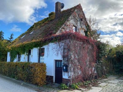 Gemütliches Zuhause mit grünem Paradies