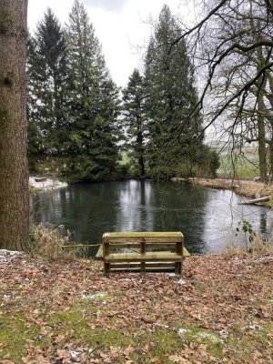 Idyllisches gelegenes Fachwerk-EFH mit großem Garten u. Teichen sucht Naturliebhaber in Schwelentrup