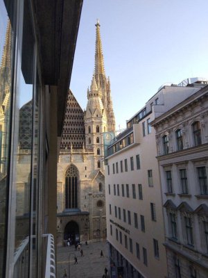 Schöne zwei Zimmer Wohnung mit Blick auf den Stephansdom!