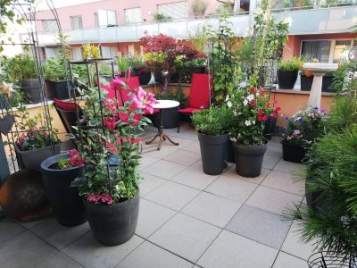 Wunderschöne Wohnung mit riesiger Terrasse UND Balkon - OHNE Maklergebühren