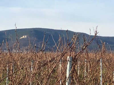 Stilvolle 4-Raum-Wohnung mit gehobener Innenausstattung mit Balkon in Kirrweiler (Pfalz)