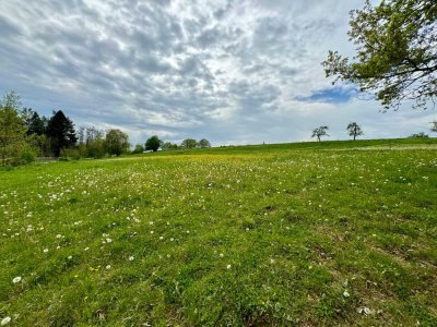 Idyllischer Pferdehof – Perfektes Paradies für Reitsportliebhaber