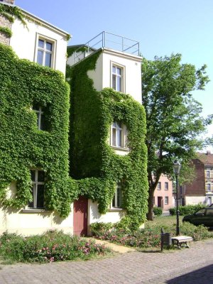 Altstädtischer Kietz: 2 Zimmer nahe Havel