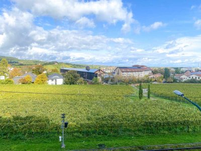 Große Wohnung mit großartigem Blick zu den Salinen in Bad Dürkheim!