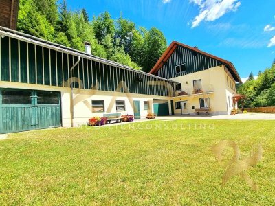 Viel Haus für wenig Geld! Modernes 2 Familien-Landhaus mit Heustadl