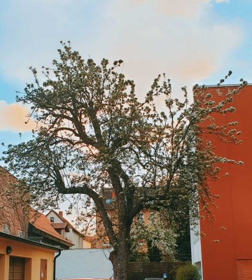 Ruhiges Wohnen im grünen östlichen Ringgebiet- reserviert!