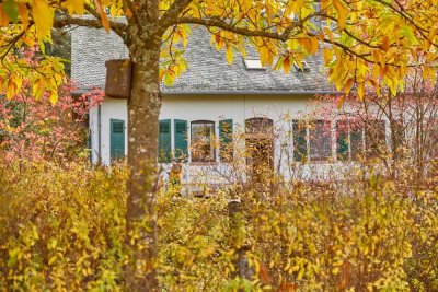 Forsthaus in Waldrandlage im Hunsrück zu vermieten