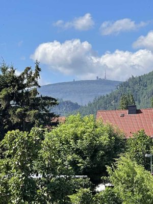 Wohnen im Harz / Ilsenburg; gepflegtes 1-2 Familienhaus mit schönem Gartengrundstück, ruhige Lage