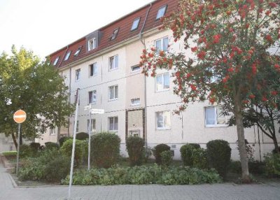 Geräumige 2-Raum-Wohnung im Stadtzentrum