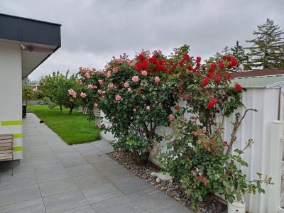 Provisionfrei Günstiger und sanierter 3-Zimmer-Bungalow zum Kauf in Trausdorf an der Wulka