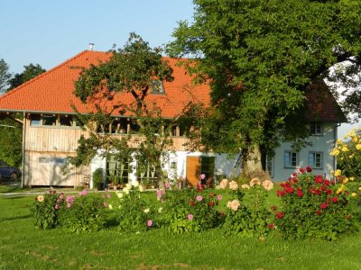 Hochwertig ausgestattetes Landhaus in Alleinlage