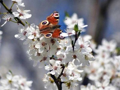 ***Genießen Sie den Frühling in Ihrem neuen ZUHAUSE***