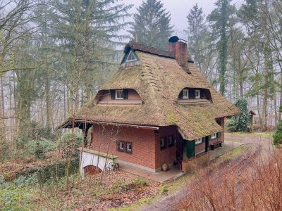 Reetdach-Landhaus am Drüsensee                              mit eigenem Wald