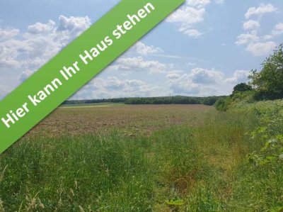 Ein Bungalow, der begeistert im kommenden Baugebiet in Salder.