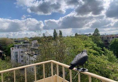 im sanierten Gebäude 4 Zi. ETW mit Park-Blick !!!