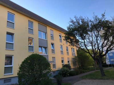 Frisch renovierte 4 Zimmer Wohnung mit Balkon