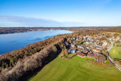 Neubau: Galeriehaus mit Liegeinsel im Privatgarten