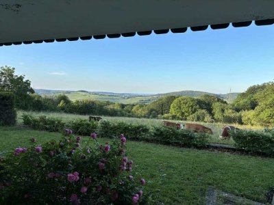 Sanierte Terrassenwohnung mit drei Zimmern sowie großer Terrasse und EBK in Aichwald-Aichelberg