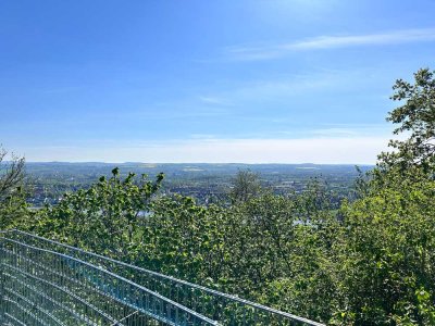 Blick über Dresden und das Elbtal! ETW Penthouse in Dresden