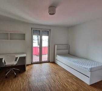 1-Zimmer-Apartment, Nähe Fresenius Hochschule, Luxemburger Allee, Idstein