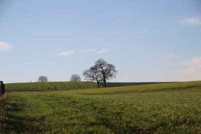 Wohnen in der Natur des Kraichgauer Hügellands mit Glasfaseranschluss