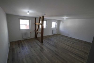 Schöne 3,5-Zi Wohnung mit Dachterrasse in Bad Buchau