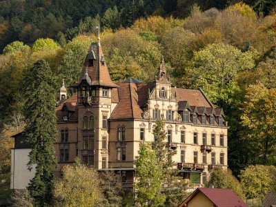 W09 "Dorfblick" im Schloss Rothschild