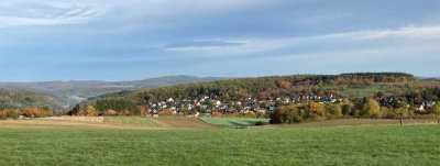 Naturnahe Stadt-Villa – neuwertig und energieeffizient