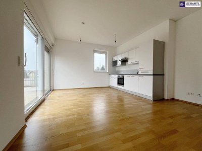 RIESIGE WESTTERRASSE mit 36m²! 2-Zimmer Wohnung im obersten Stock! Ab sofort verfügbar! Haustiere erlaubt!