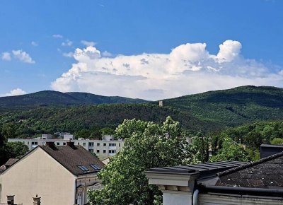 Traumhafte, helle 2-ZI-Stadtwohnung mit herrlicher Aussicht, franz. Balkon in thermisch topsaniertem Wohnhaus - Baden bei Wien