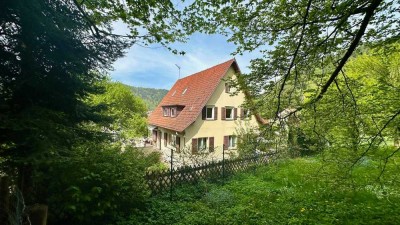 Burgblick - castle view - großzügiges Schwarzwaldhaus in Bad Liebenzell