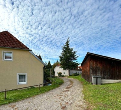 3 ZIMMER ERDGESCHOSSWOHNUNG MIT TERRASSE IN GREIN AN DER DONAU