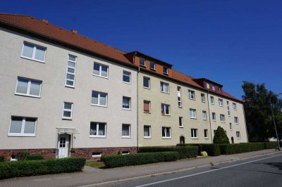 Renovierte 3-Zimmer-Wohnung mit Einbauküche in der Südlichen Mühlenvorstadt