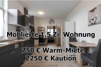 ab 01.04. - Möbliertes Apartment - vollständig ausgestattet - Wellendingen - Wilfingen