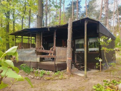 SCHÖNER BUNGALOW IN SCHATTIGER LAGE AM BEETZSEE ZU VERKAUFEN! MIT ABGESCHLOSSENEM KANUPLATZ!