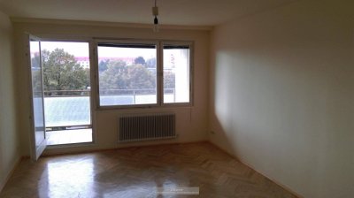 FAMILIENWOHNUNG MIT LOGGIA UND UNVERBAUBAREM BLICK - NAHE CITY GATE U1