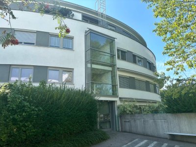 Neu Sanierte 4-Zi.-Wohnung mit großer Süd-West Terrasse