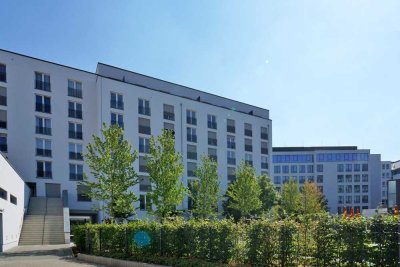 Über den Dächern der Johannstadt