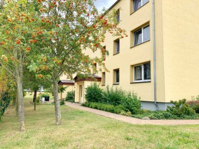 Neu renovierte 4-Raum-Wohnung in Abtshagen mit traumhafter Außenanlage