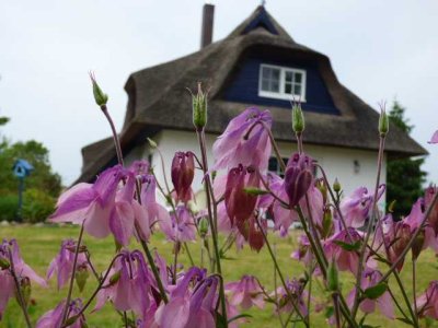 1. WOHNSITZ! ERDWÄRMEHAUS! GRUNDSTÜCK MIT VIELEN FARBEN! SAUNA! KAMIN! CARPORT! FELDRANDLAGE!