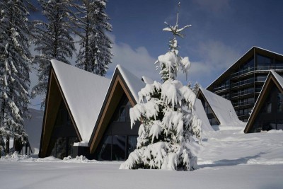 Buy-to-Let Alpine Lodges