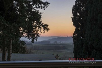 Panorama-Oase in 
Hilzingen OT
Großzügiges Einfamilienhaus mit Alpenblick