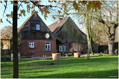 schöner Resthof mit Reithalle in herrlicher Alleinlage