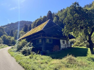 Orig. Schwarzwälder Bauernhof 
Mitten im Dreisamtal!